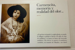 IMAGENES VARIAS NOTICIAS - entrega libros carmencita